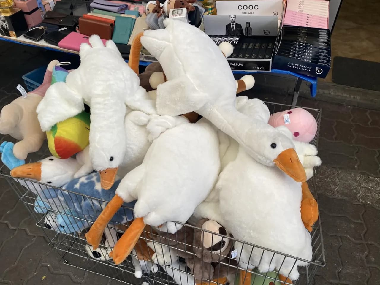 Ile kosztuje pluszowa gęś? Ceny, porównania i unikalne modele